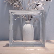 Eurosign Imports Straight through veins light transmission full transparent square hollow glass brick toilet Xuanguan bedroom partition wall