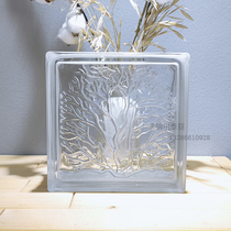 Imported coral transparent translucent square hollow glass brick toilet porch bedroom toilet partition wall