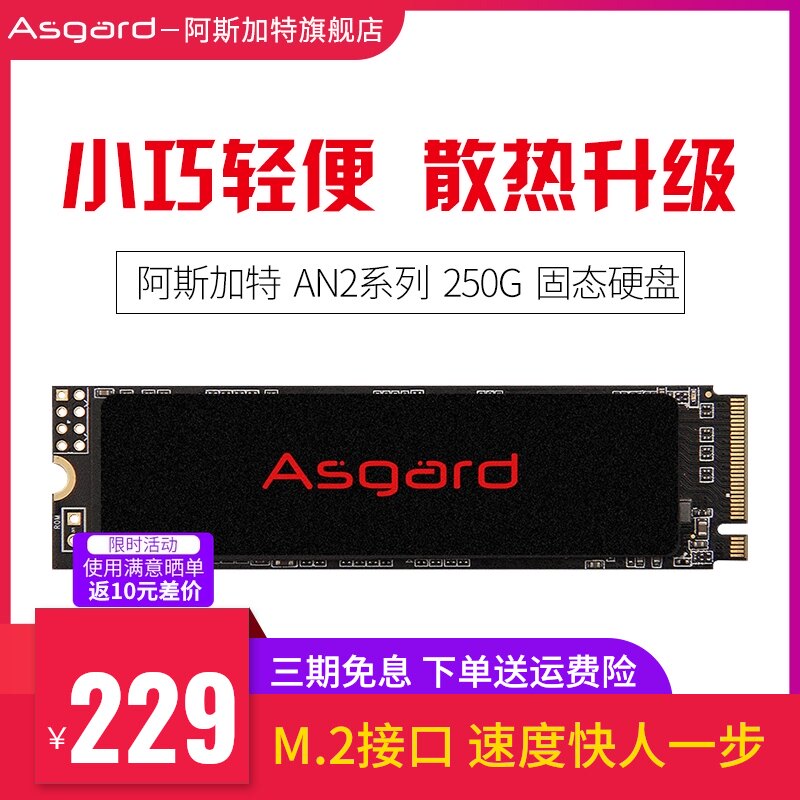 Asgard Asgard 250G M 2 PCIe NVMe SSD Notebook Desktop SSD