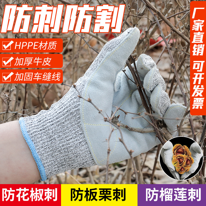 Stab-resistant gloves Anti-tie-killing fish gardening chestnut pepper wear-resistant non-slip Cactus Rose cowhide