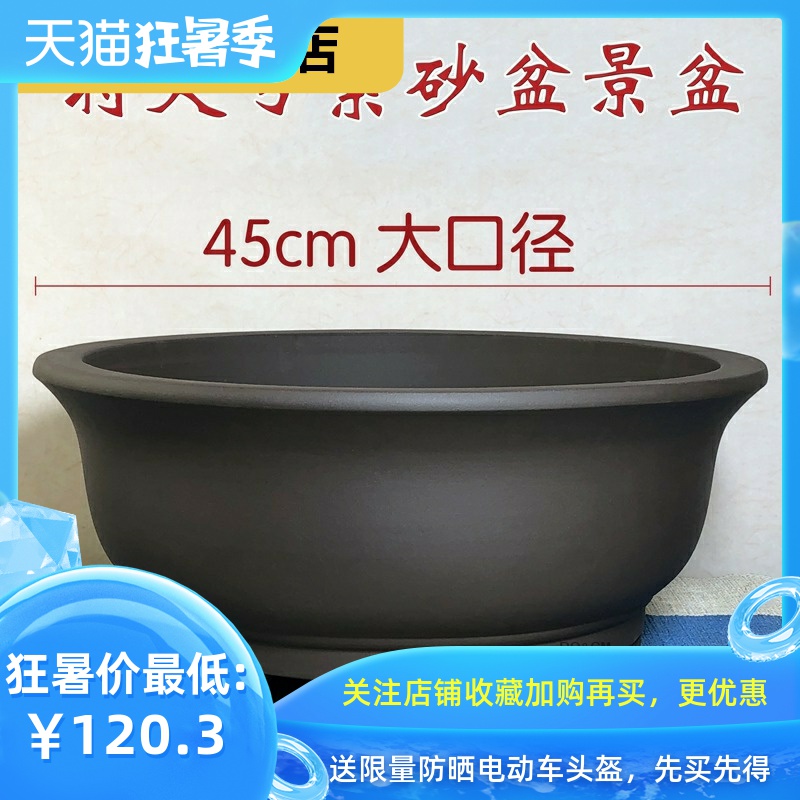 Rich, heavy heavy flowerpot miniascape of yixing ceramic flower pot pot clearance bonsai garden flowerpot be born purple