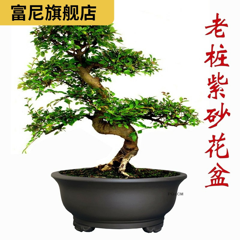 Rich, heavy heavy flowerpot miniascape of yixing ceramic flower pot pot clearance bonsai garden flowerpot be born purple