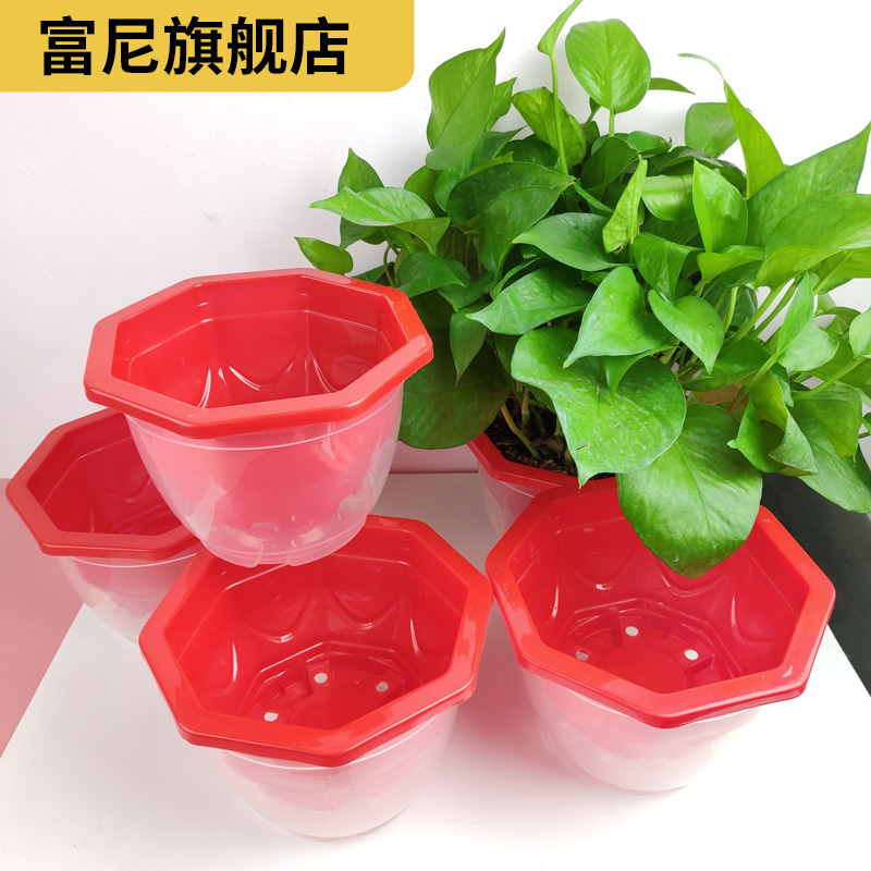 Rich, thick reservoir water flowerpot automatic base money plant hydroponic water from lazy people have transparent plastic water basin