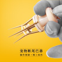 Cub teddy puppies Puppy tailors Broken Tail Clips Juvenile puppies Expand Leather Fascia SIMPLE KIRKY SNOWNERY