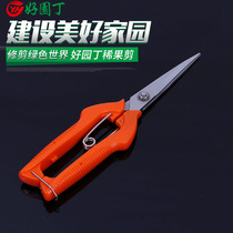 Grape Scissors Orange Citrus Picking Cut Fruit Tree Orchard Fruit Scissors Orange Zanthi Pepper Rare Fruit Tomato special Cut