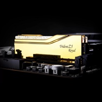 G Skill (Royal Halberd DDR5-8000-8400 PC memory module) Royal 48GB RAM