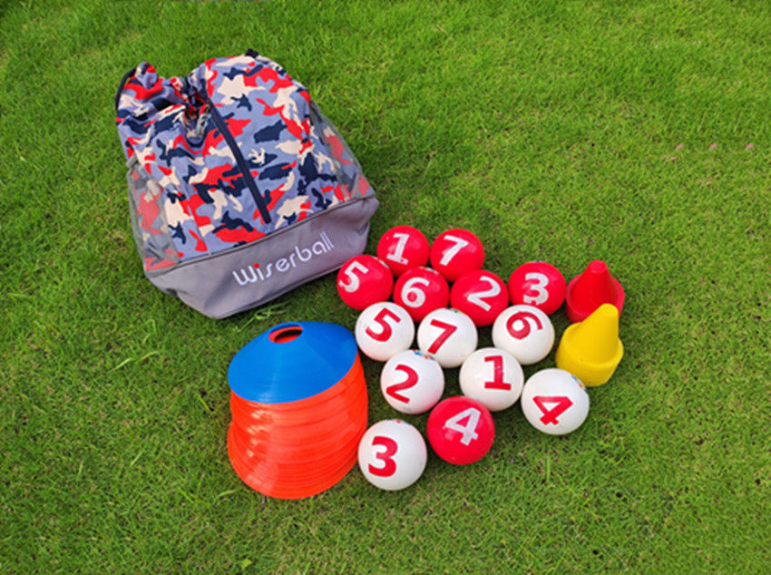 Gao Zhier ball WISER (Ball * 14 ball bag * 1 Yellow Label * 10 Red Label * 10 disc * 11)