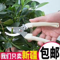 Stainless steel branch pruning shears Pick fruit flower shears Garden leaves Fruit tree branch scissors Gardening tools scissors