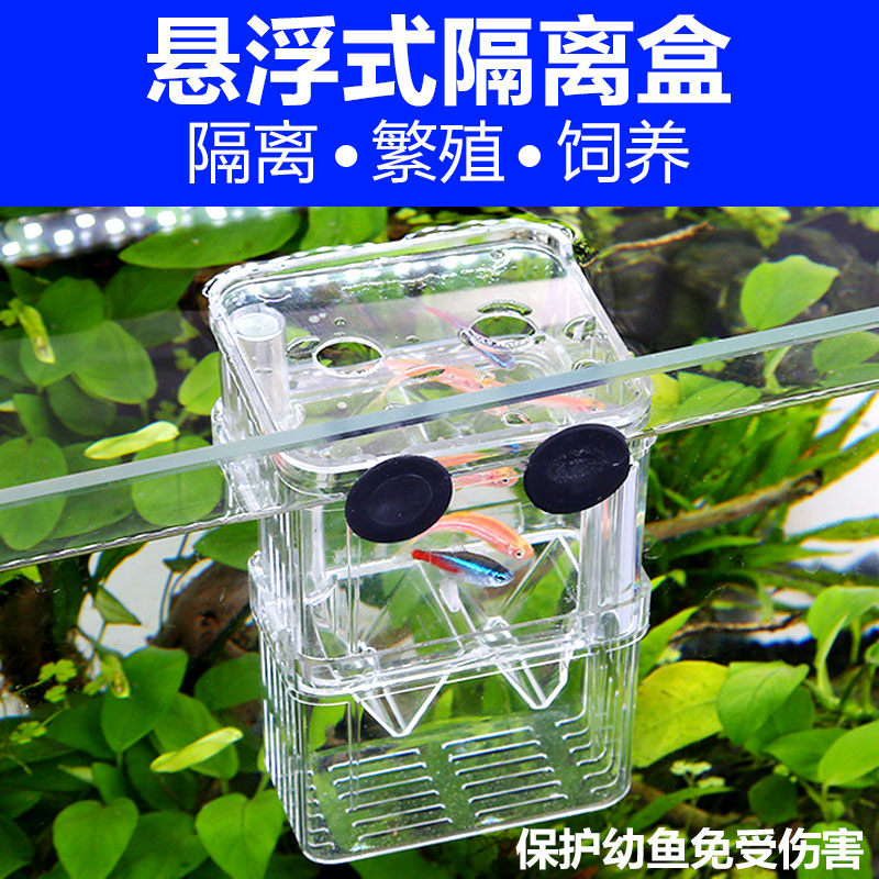 Senzen Reproduction Box Peacock Juvenile Fish Tank Isolation Double Fish Seedling Spawning Machine Tropical Fish Crimp Multipurpose