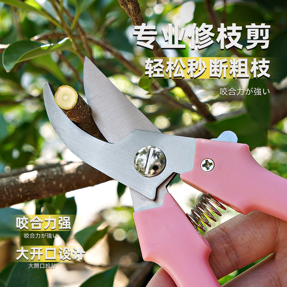 果树剪刀修枝神器,摘果剪树剪刀,花卉枝剪园林园艺家用修剪神器,你家的园艺小帮手!-园艺刀剪-淘宝好物网