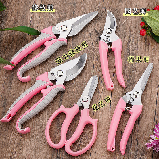 Powerful pruning shears, special scissors for gardening branches, garden pruning, fruit tree flower shears, floral pruning shears tools