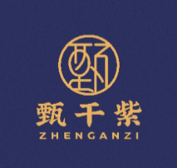 甄千紫童装店