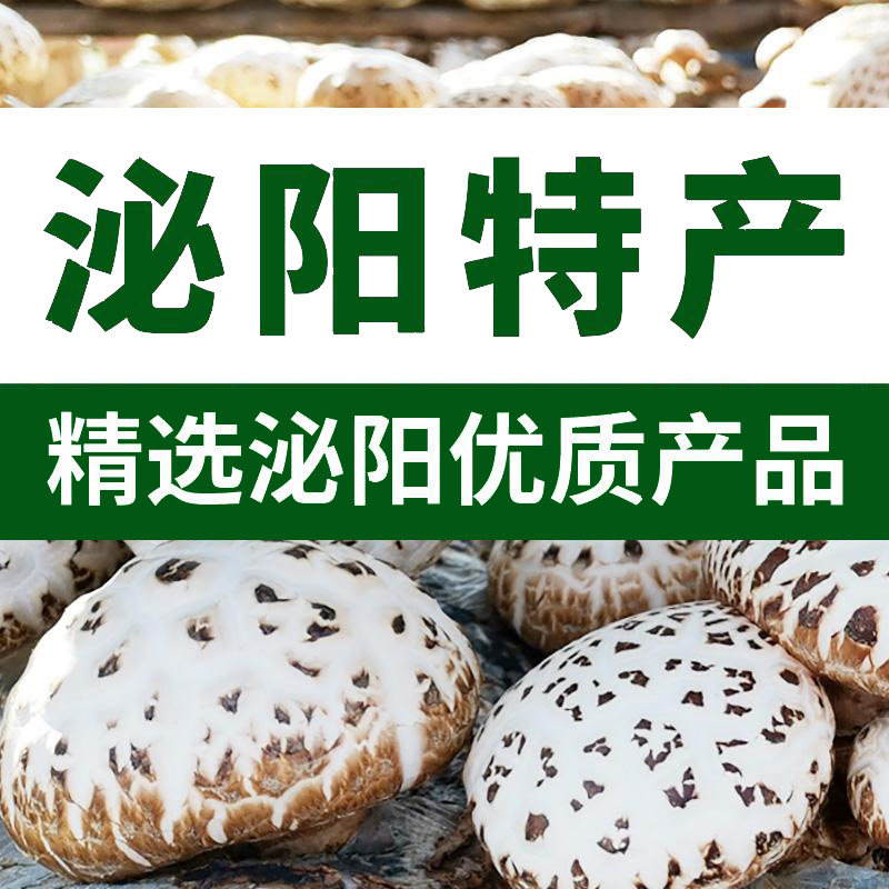 泌阳特产