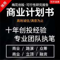 Business plan on behalf of the feasibility study report preparation of entrepreneurial financing project plan planning road show PPT