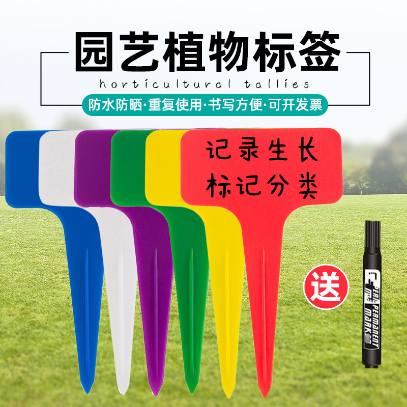植物标签插牌标识指示牌子园艺多肉标签加厚塑料防水防晒花卉专用