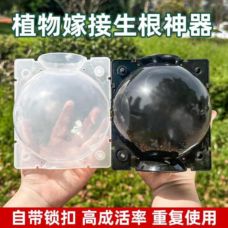 植物高压繁殖盒控根器盆景植物嫁接器生根盒枝繁殖球培养器育苗器