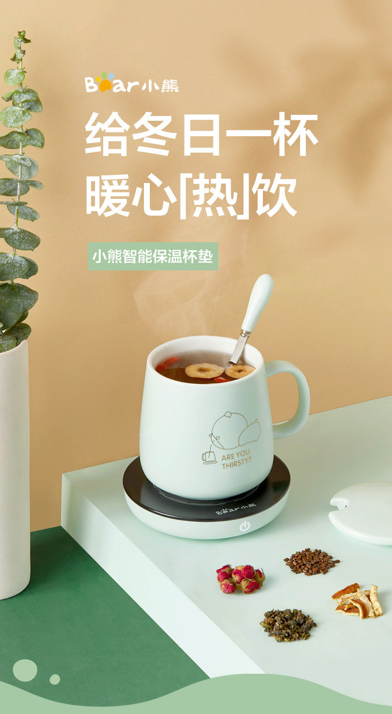 DRBD -A16C1 Electric Sating Coaster -790_01.jpg