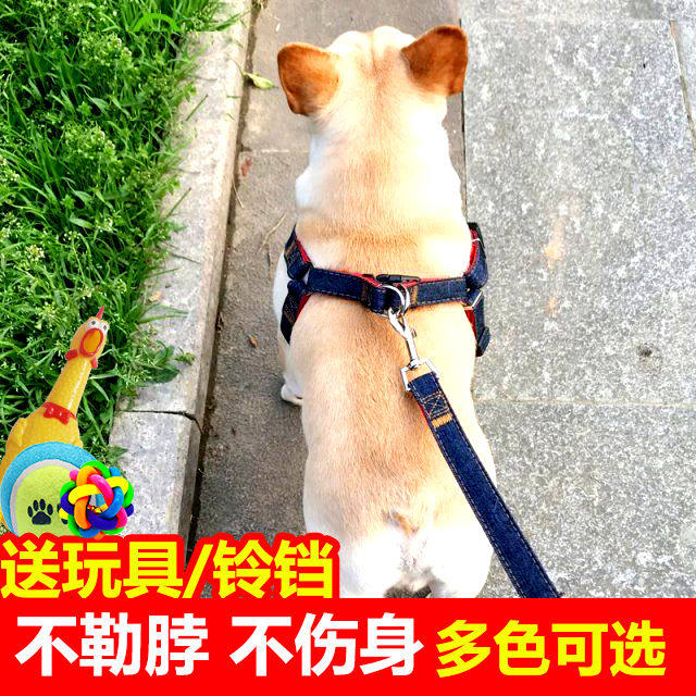 Dog leash Neck Bush Dogs Cat Neckline Deworming Dogs Traction Rope Neckline Headgear for biting and licking pet supplies