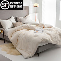 Cotton class A antibacterial soybean fiber quilt Spring and autumn quilt Pure cotton thickened winter quilt futon four-season universal quilt core