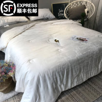 Cotton soybean fiber quilt Spring and autumn quilt Winter quilt Summer cool quilt Air conditioning quilt Thin quilt core quilt Single double