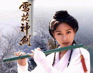 DVD machine version [Snow flower Shenjian] Yuan Wenjie Yang Gonglike 40-episode 4 discs