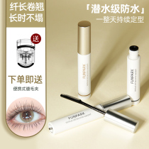 Funpark eyelash base cream setting liquid transparent raincoat lasting non-dizziness waterproof slender curl eye female