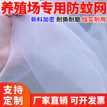 Insect-proof mesh breeding pig farm anti-mosquito fly fruit fly agricultural greenhouse fruit tree special mesh thickened screen window