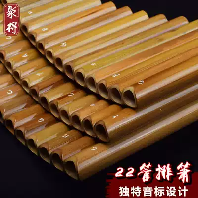 Bitter Bamboo Flute Musical Instrument C Professional 22 tube beginner children F adult G tune flute playing students row Xiao vertical blowing