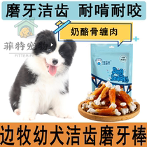 Side Pastoral Dedicated Pooch Grindle Dentity Grilled Cheese Chicken round teddy Kim Mao Euping Dog for two or three months