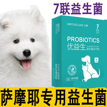 Samoye Special Dog Probiotic Puppy Vomit Diarrhea Constipation Stomach Thinning Conditioning Gastrointestinal Poisoning