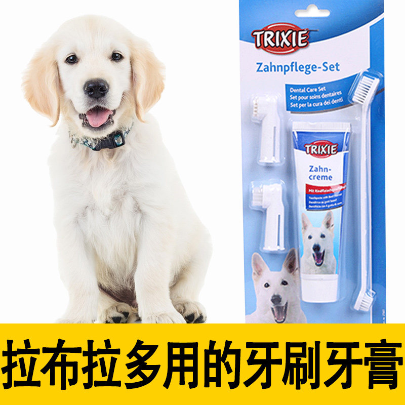 Labrador Dog Toothbrush Toothpaste Set Special Deal to Defess and Spots to Delta Puppy