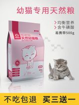 Kitty Cat Food Monthly Kitty Food Kitty Cat Food Nutritional Kitty Cat Specific Breastfeeding