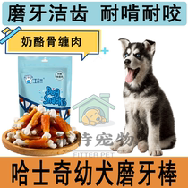 Hashotsch Special Pooch Grindle Dentity Dentity Grilled Cheese Chicken Around Teddy Golden Fur Young Adult Dog two March