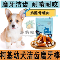 Kirky Special Pooch Grindle Dentity Dentity Grilled Cheese Chicken Around Teddy Golden Fur Young Adult Dog For Two Or Three Months