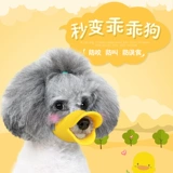 ДОБАВИТЬ АНТИ -RANDOM FEE ANTIBITE DOG MASK и анти -RANDOM CALL PET маленький собака Тедди может пить поставки водного ухода