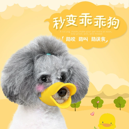 ДОБАВИТЬ АНТИ -RANDOM FEE ANTIBITE DOG MASK и анти -RANDOM CALL PET маленький собака Тедди может пить поставки водного ухода