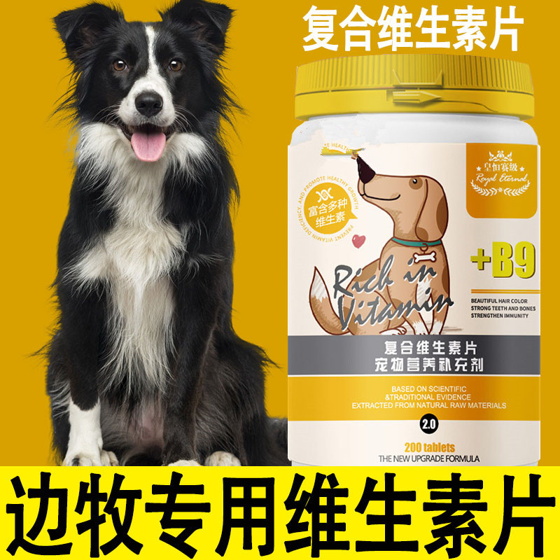 Dog with special pet composite vitamin dog cut hair removal anti-hair hair removal vitamin b dog eaten with dog