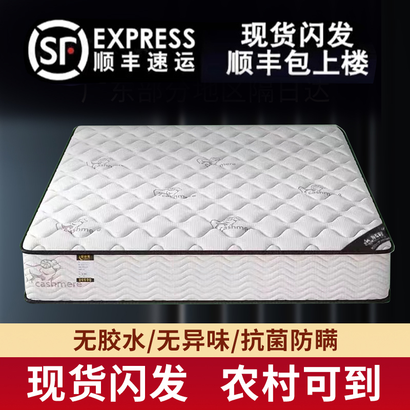 Hong Kong's Top Ten Famous Spring Mattress Brands, Dual-Use Soft and Firm 20cm Economical Soft Latex Coconut Palm Spring Mattress for Home Use