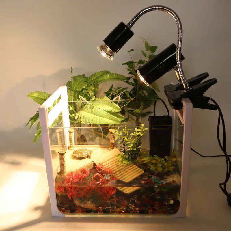 Turtle back light water turtle tortoise sun back light bulb climbing pet reptile heating lamp ua ub full light