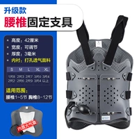 Модернизированные ветви поясничного отдела позвоночника [поясничный отдел позвоночника 1 ~ 5 секции+грудный позвоночник 8 ~ 12 секций]