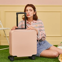 Gogwood Powder Small Fresh Model Model (рекомендуется менеджером)