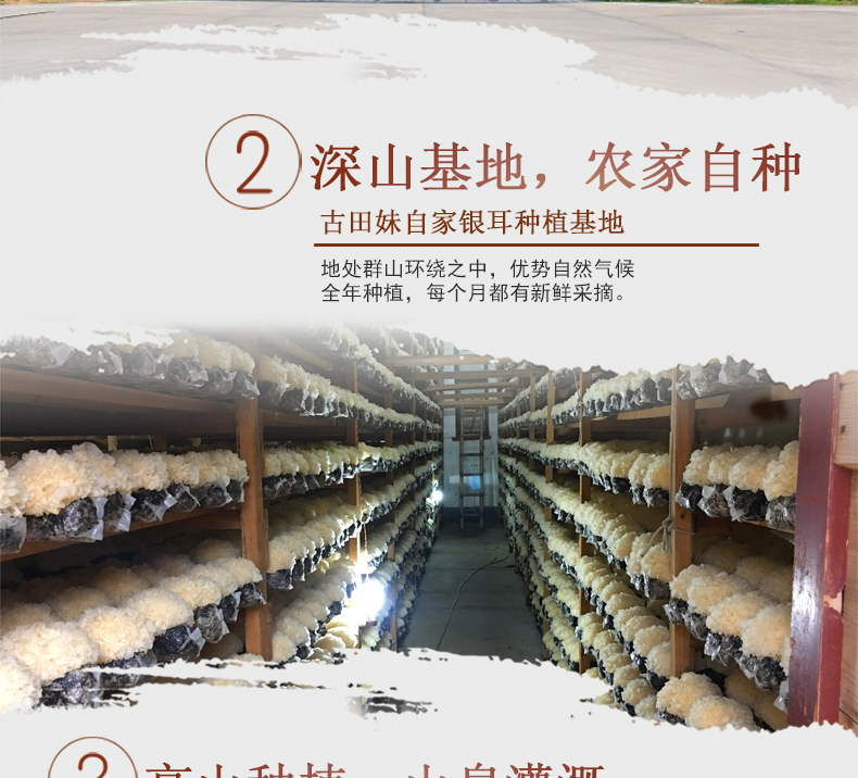 闽妃 古田新鲜银耳 6朵盒装 图5
