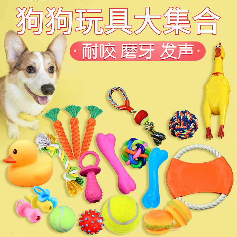 Pet dog toy supplies bite-resistant molars to relieve boredom puppy voice ball Teddy screaming chicken plush rope knot big dog