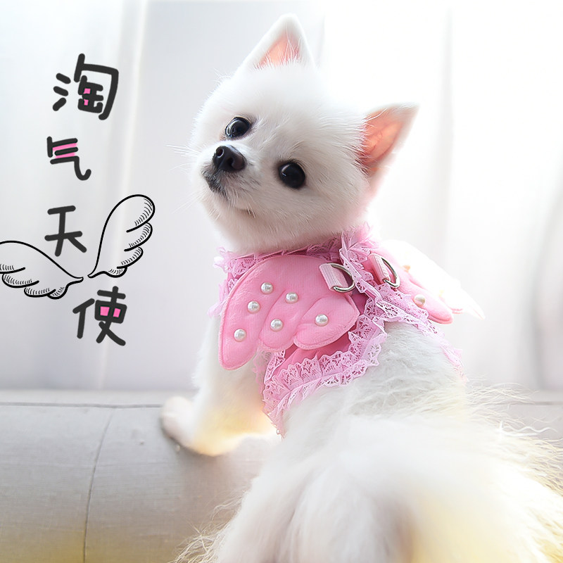 Puppies Traction Rope Angel Wings Chest baby bags Dogs Chains Teddy Small Dogs Beaume Dogs Rope Pet Supplies