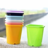 Пластиковый горшок с цветочным горшкам уксусный соус Специальный цветочный горшок Специальный цветочный горшок, розовая полисамония растение виентианское уксусное соус Специальный горшок