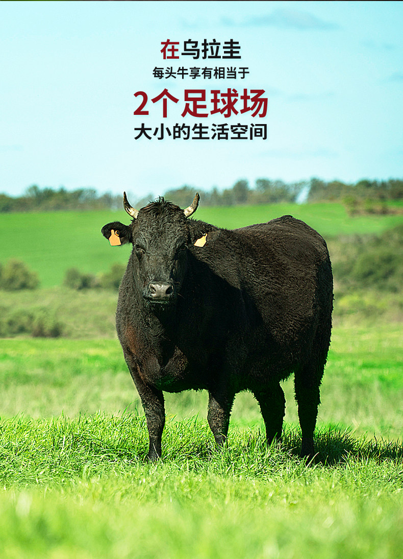 纽澳阳光 澳洲进口原切牛肉 超嫩小米龙 2kg*2袋 图3