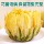 Подлинная хризантема официальный флагманский магазин Tongxiang chrysanthemum tea не премиум-класса с очищенной хризантемой, горячей жимолостью и семенами кассии mini 1