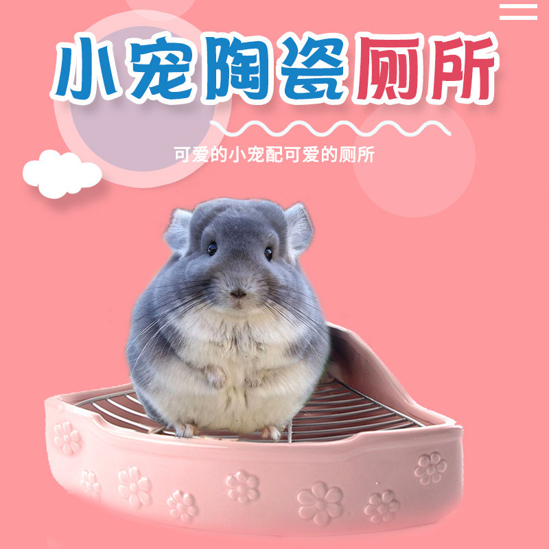 Dragon Cat Ceramic Toilet Sector Overweight Anti-Overturning Rabbit Large Horn Squirrel Dutch Pig Supplies Anti-Hatchproof Spray Pan