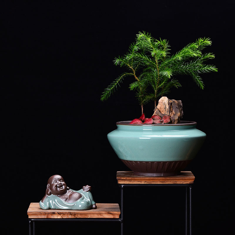 Creative ceramic flower POTS with tray was contracted household basin grow rich tree orchids dedicated desktop green plant pot