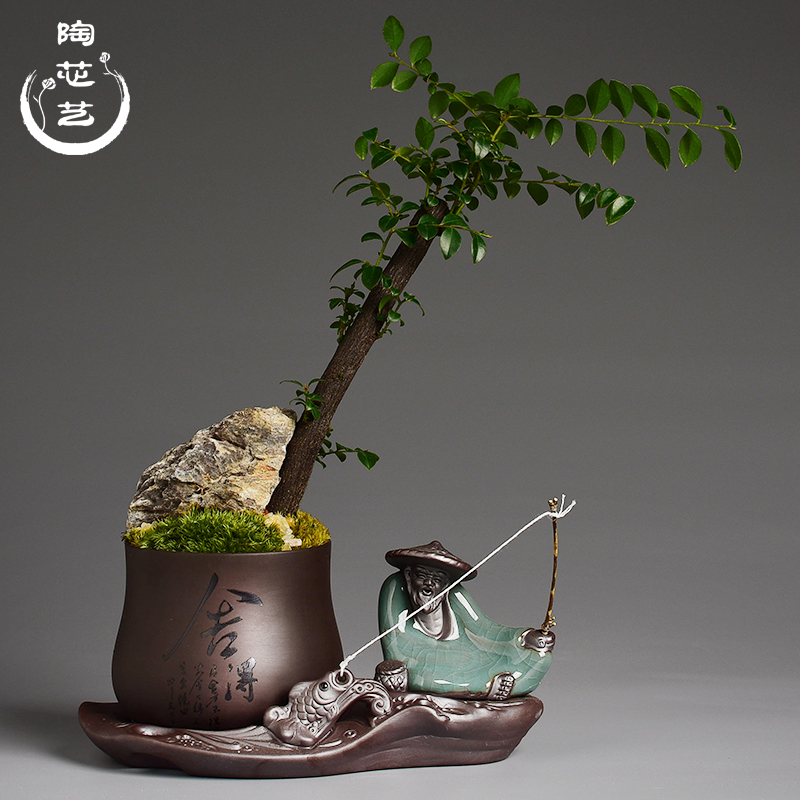 Zen purple sand flowerpot more meat little monks combination asparagus potted bonsai the plants household creative desktop small place